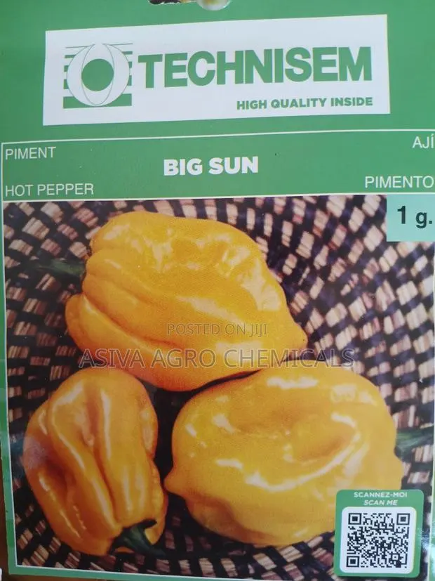 Big Sun Hot Pepper Seeds · Photo 1
