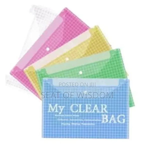 Clear Bag /Clear Button Bag · Photo 1