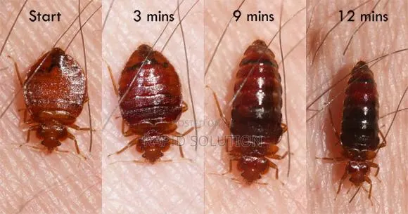 J.I.L Fumigation Services · Photo 1