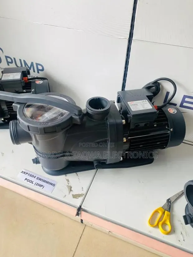 2-Horsepower Leo Swimming Pool Pump · Photo 1