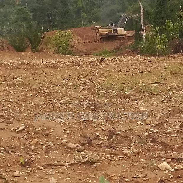 Gold Land for Sale · Photo 1