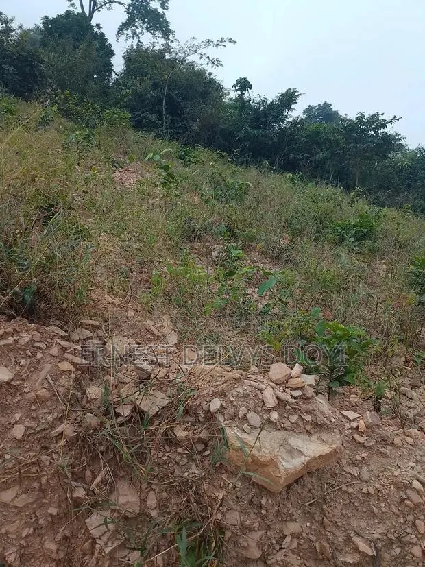 Lands for Sale at Kwabenya Katapor GHC 189,000 Per Plot
