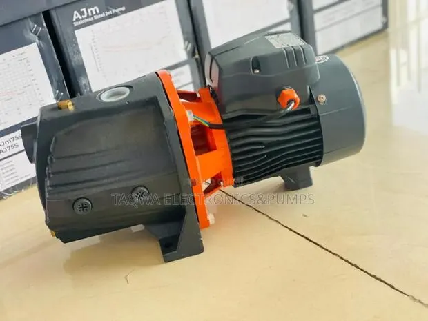 Leo 900w Cast 1.5hp _Water Pump · Photo 1
