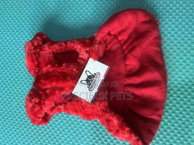 Toy Dog Clothing- New Stock -2025-0 489400 · Photo 1