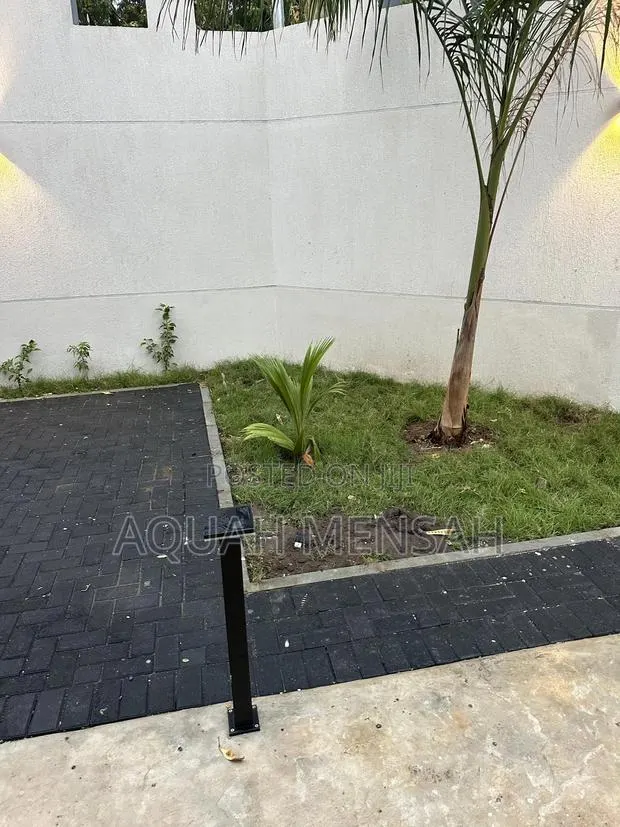 Green Grass · Photo 1