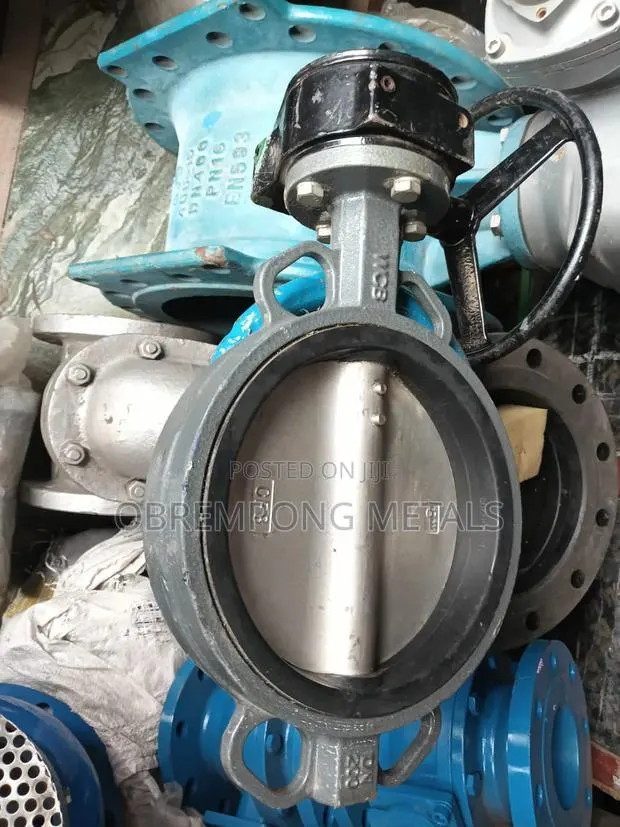 8" Butterfly Valve Stainless Tong Gear Type · Photo 1