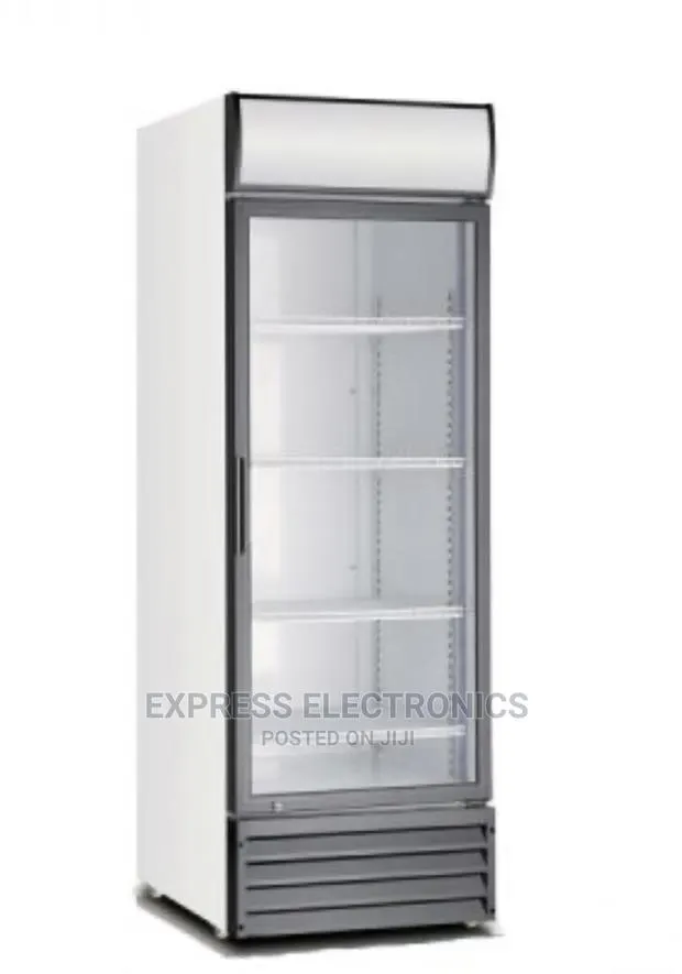 Icestream UNI-250C 198LTRS Vertical Display Single Door · Photo 1