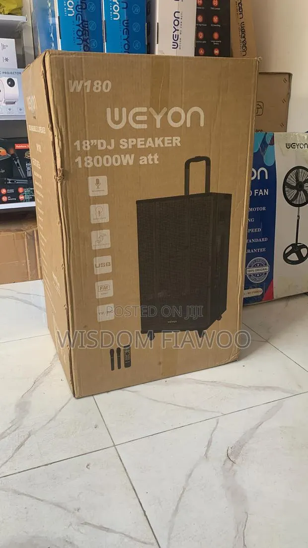 Wayon 18inches DJ Speaker (2mics) · Photo 1