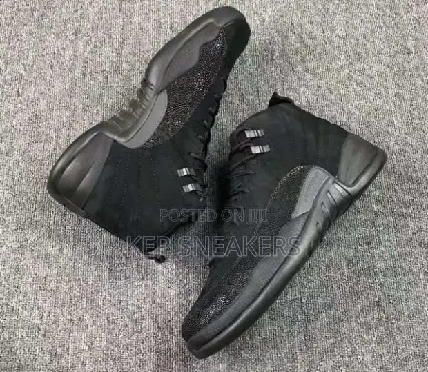 Air Jordan 12 Retro Ovo-Playoffs · Photo 1