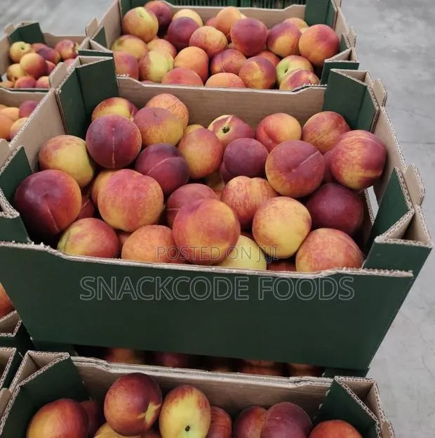 Peach Fruit · Photo 1
