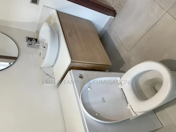 Apartment Cleaning Fumigation · Photo 1