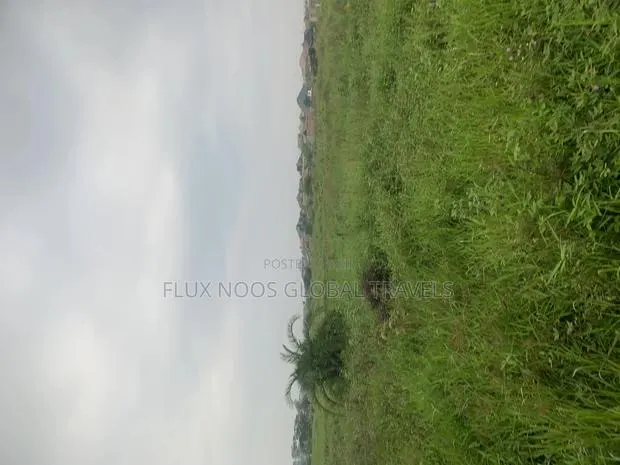 Half Plots of Land for Sale at Amasaman Ayikai Doblo. · Photo 1