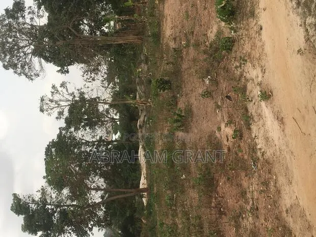 Plot of Land for Sale at Ejisu Edwinese · Photo 1