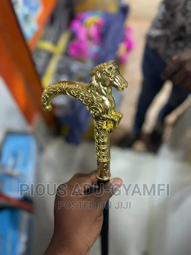 Fashion Walking Stick · Photo 1