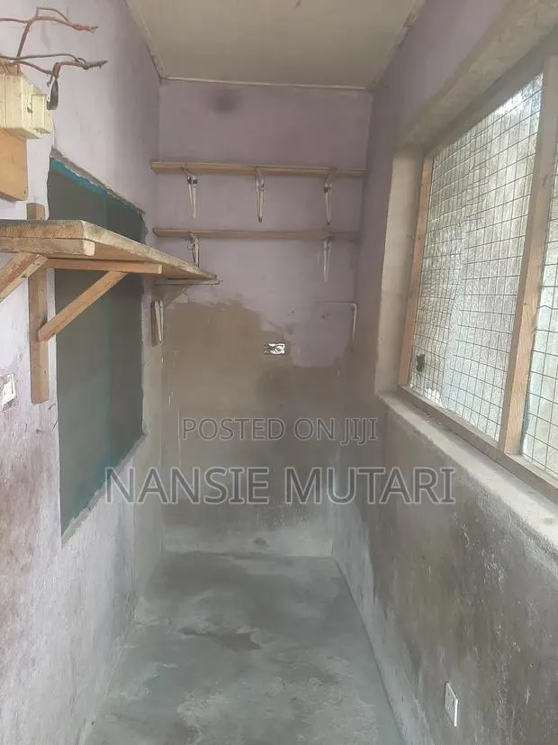 Furnished 1bdrm Bedsitter in Sowutuom, Sowutwuom for rent · Photo 1