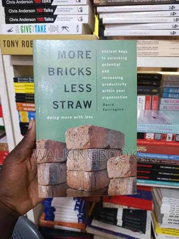 More Bricks Less Straw · Photo 1