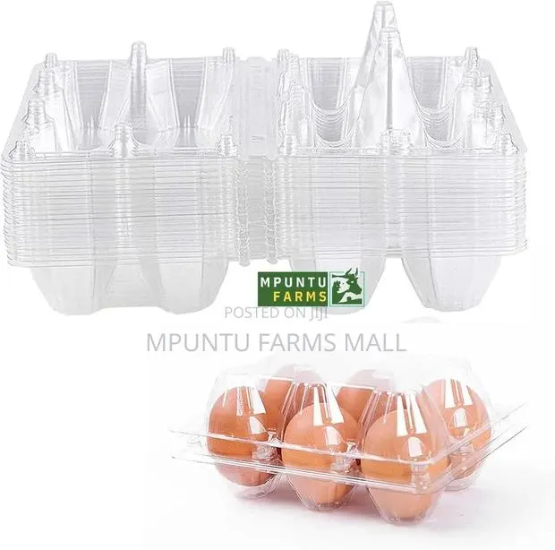 6 Holes Transparent Egg Crates · Photo 1