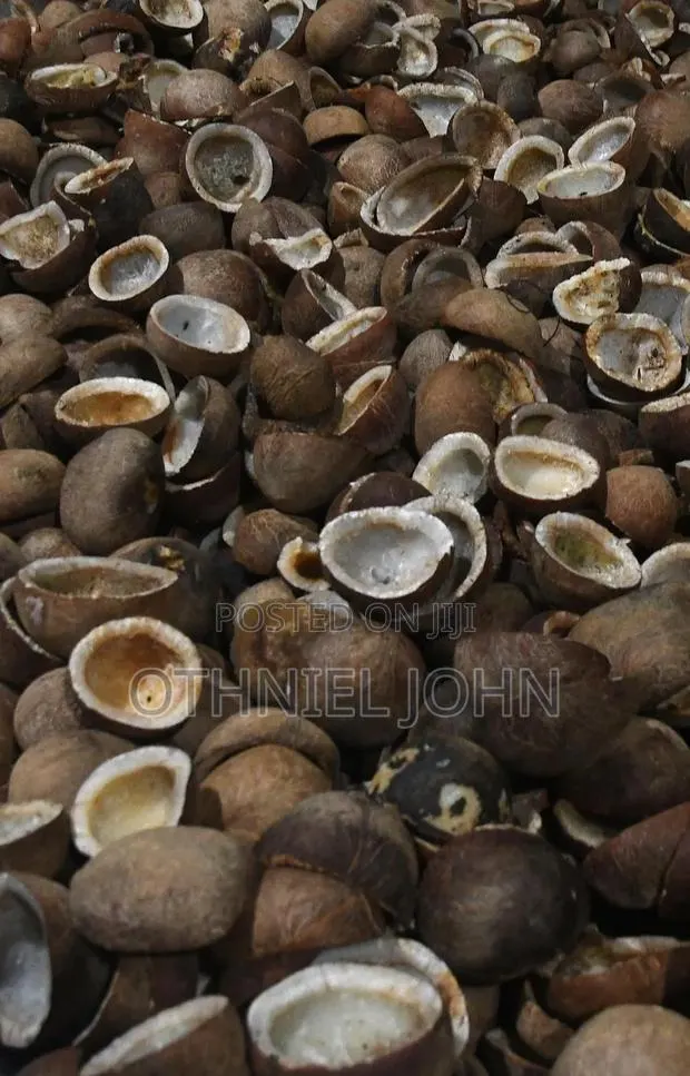 Copra for Sale in Bulk · Photo 1