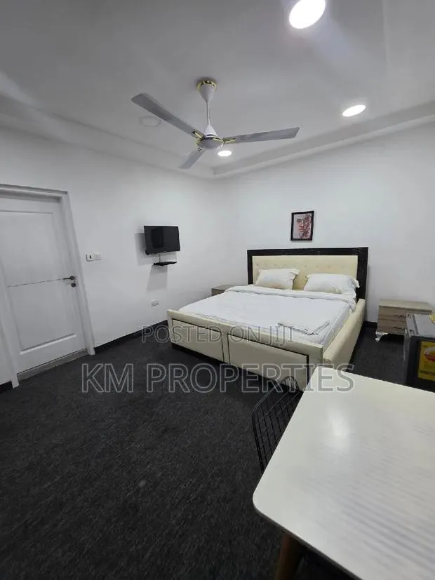 Furnished Studio Apt. In Dzorwulu Central · Photo 1