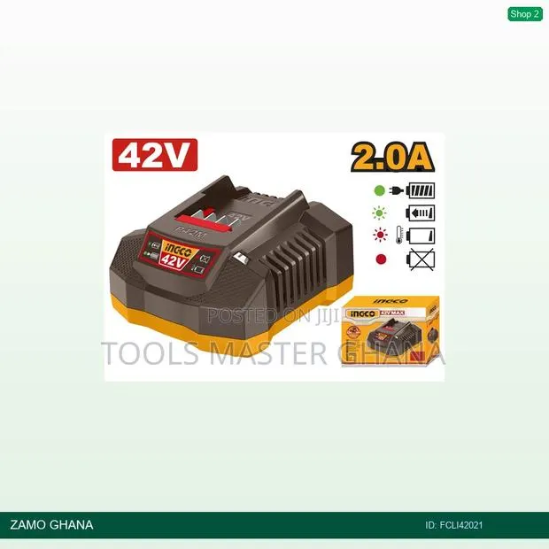 P42m Battery Charger - Fcli42021 · Photo 1