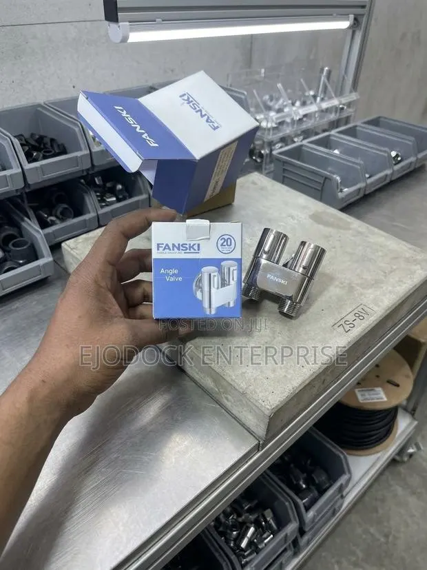 Fanski Double Angle Valve · Photo 1