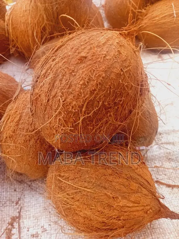 Dry Coconut Available · Photo 1