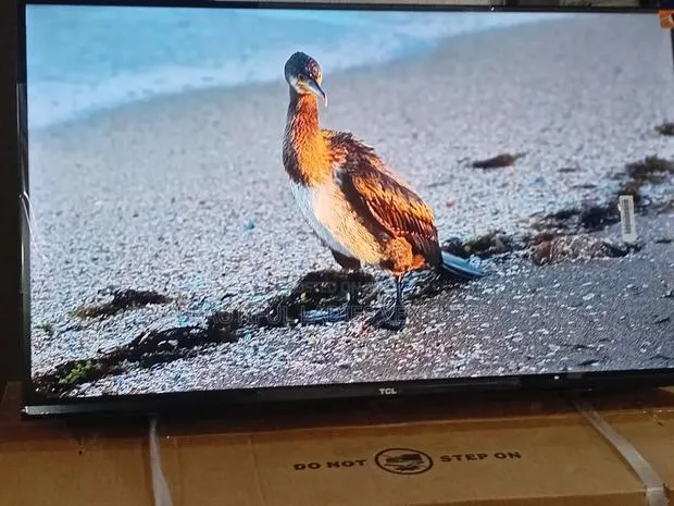TCL 32-Inch Slim Screen Television – Stylish Compact · Photo 1
