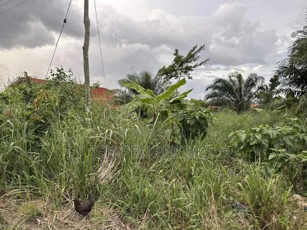 One Plot for Sale at Sokoban,Kwaso · Photo 1