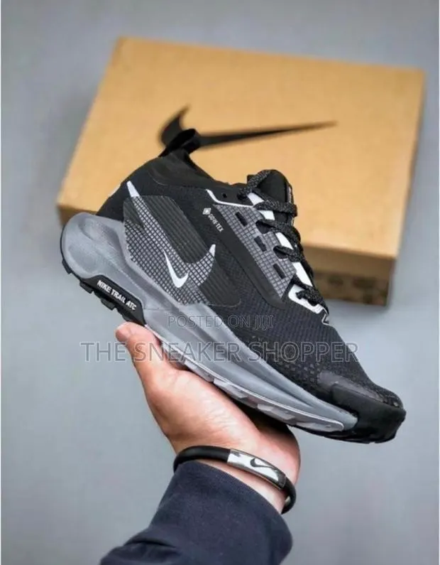 Nike Pegasus Trail 5 GORE-TEX · Photo 1