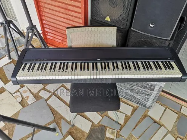 The Korg B1 Digital Piano · Photo 1