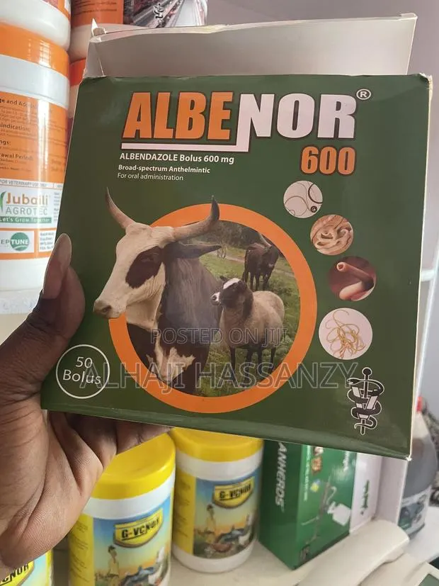 Albenor 600 · Photo 1