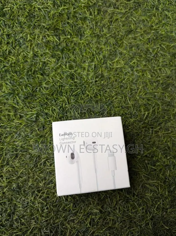 Apple Lightning Earpiece · Photo 1