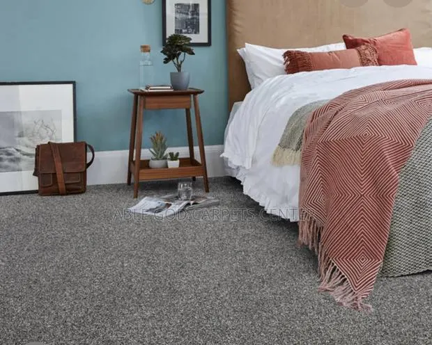 Dark Grey Floor Carpet and Rugs · Photo 1