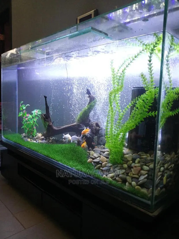 Aquarium Tanks · Photo 1