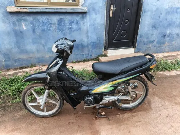 Luojia 110cc 2017 Black · Photo 1