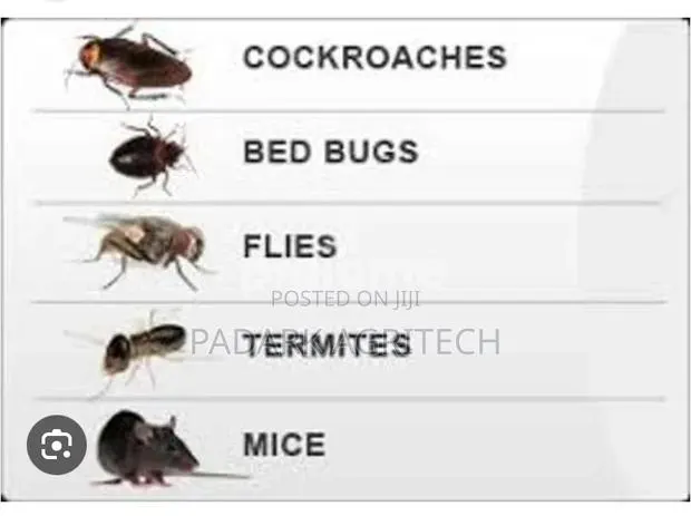 Pests Control Services