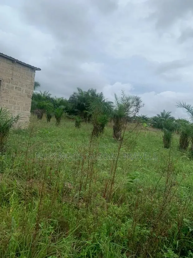 Titled Acres Lands Forsale at Amasaman. · Photo 1