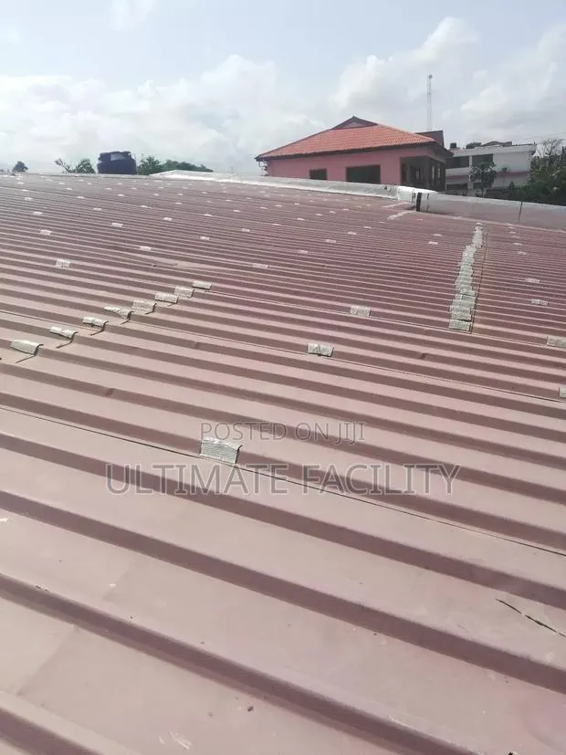 Roof Leakage Treatment · Photo 1