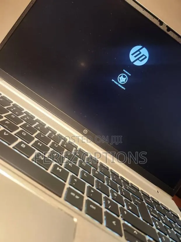 Laptop HP ProBook 455 8GB AMD Ryzen 5 SSD 256GB · Photo 1