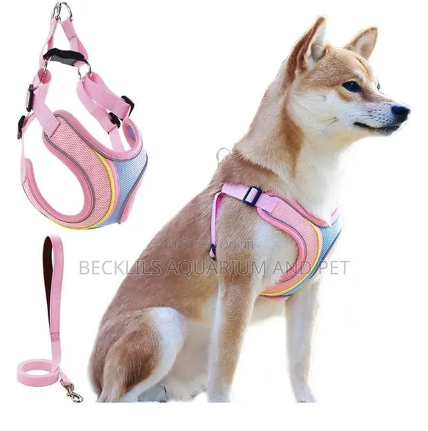 Quality Harness With Leash · Photo 1