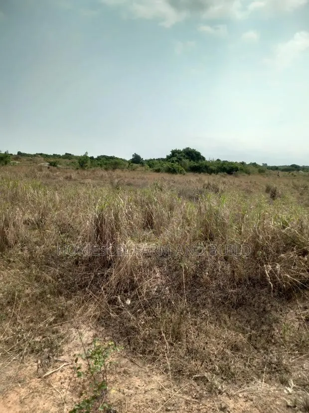 8 Plots of Beautiful, Flat Terrain Land With Wide, Open View · Photo 1