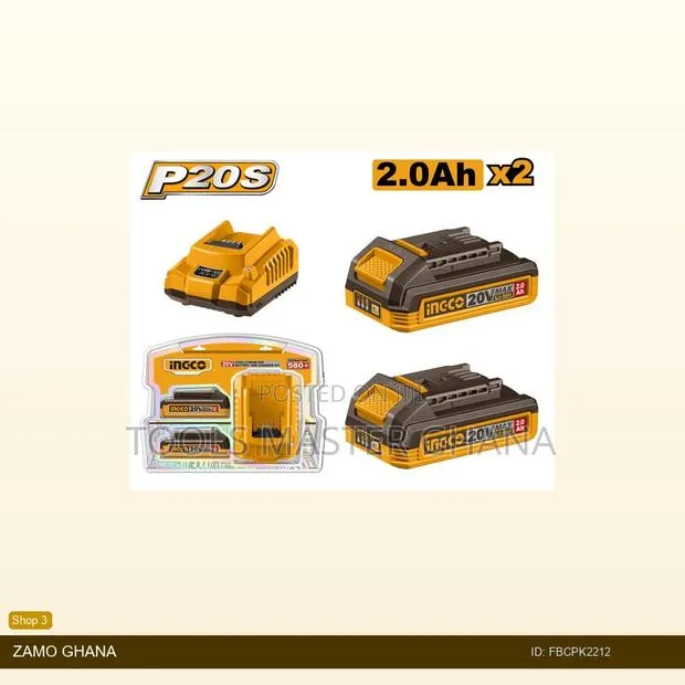 P20s Lithiumion Battery and Charger - Fbcpk2212 · Photo 1