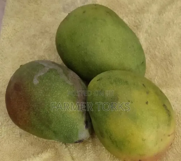 Salon Mango · Photo 1