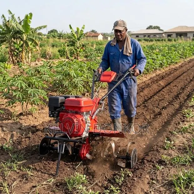 Multi-Purpose Gasoline Mini Power Tiller Ridger · Photo 1