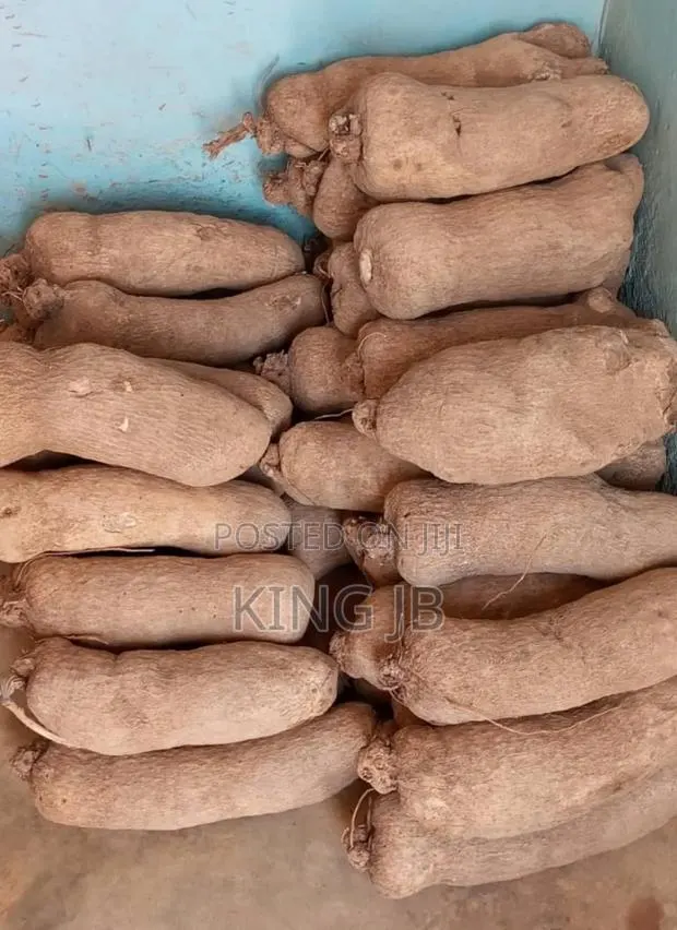 Your Favourite Local Yam · Photo 1