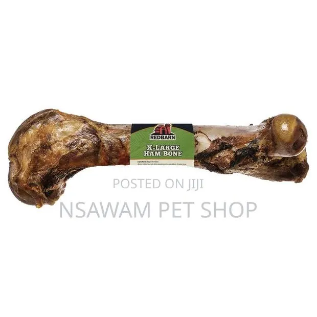 Femur Bone Shank Bone · Photo 1