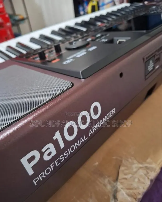 Korg Pa1000 61-Key Professional Arranger Keyboard · Photo 1