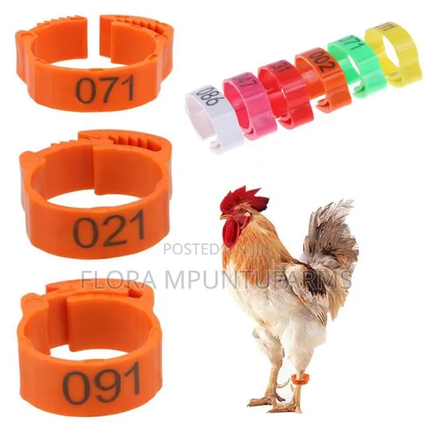Chicken Leg Tags · Photo 1