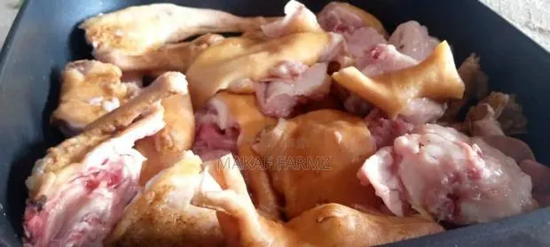 Dressed Meat Rabbit · Photo 1
