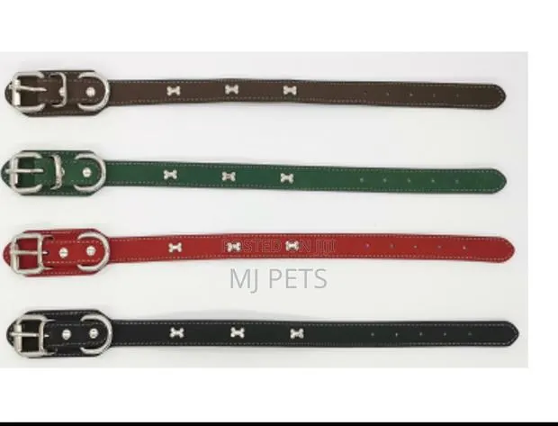 Leather Collar for Dogs · Photo 1